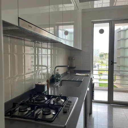 公寓 Garden View Premium 阿威罗